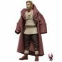 Star Wars F44745X0 collectible figure