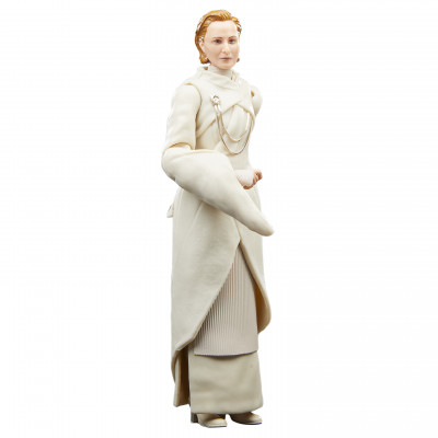 Star Wars The Black Series F55305X0 toy figure