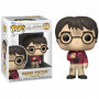 Funko Pop Harry Potter Edição de Aniversário Harry Potter com a Pedra Filosofal 57366
