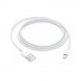 Apple Lightning to USB Cable (1 m)