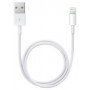 Apple Cabo USB A Macho - Lightning Macho 50cm (Branco) - APPLE