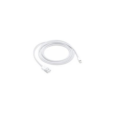 Apple Lightning to USB Cable (2 m)