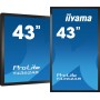 iiyama T4362AS-B1 ecrã de sinalização Plasma interativo 108 cm (42.5") IPS 500 cd m² 4K Ultra HD Preto Ecrã táctil Processador