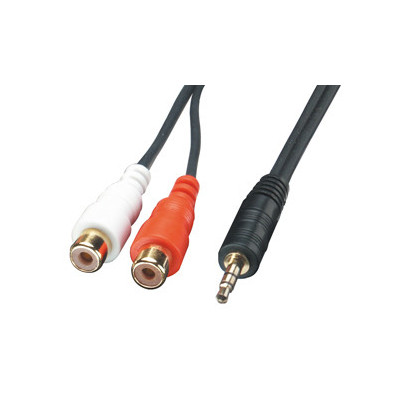 Lindy AV Adapter Cable - 3.5mm Male - 2 x RCA Female cabo de áudio 0,25 m Preto