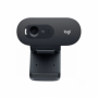 Webcam Logitech C505E 1280 x 720 HD