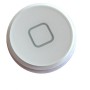 iPad Mini Home Button White