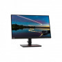 Lenovo ThinkVision T24m-20 - LED monitor - Full HD (1080p) - 24"