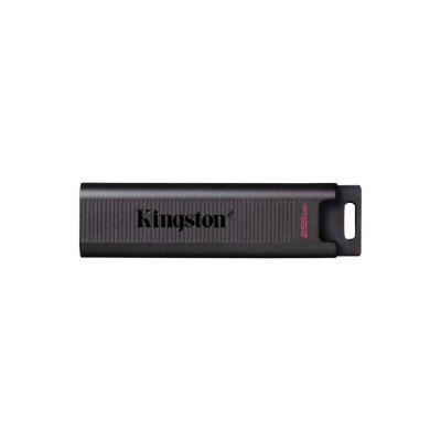 Pen Drive Kingston DataTraveler MAX 256Gb USB3.2 Gen2 Preta