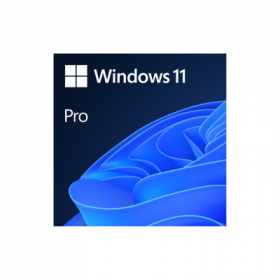 Microsoft Windows 11 Pro 64Bit PT Oem