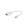 Adaptador Mini DisplayPort para DisplayPort