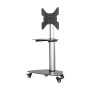 Tripp Lite DMCS3255SG62 suporte de exibição de sinalética 139,7 cm (55") Preto, Prateado