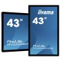 iiyama ProLite TF4339MSC-B1AG monitor de ecrã 109,2 cm (43") 1920 x 1080 pixels Full HD LED Ecrã táctil Multi-utilizador Preto
